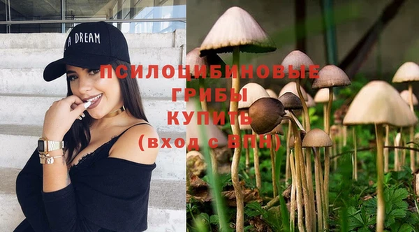 ешки Армянск